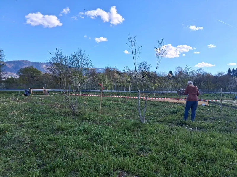Newly planted green space at Haut de la Butte, Geneva