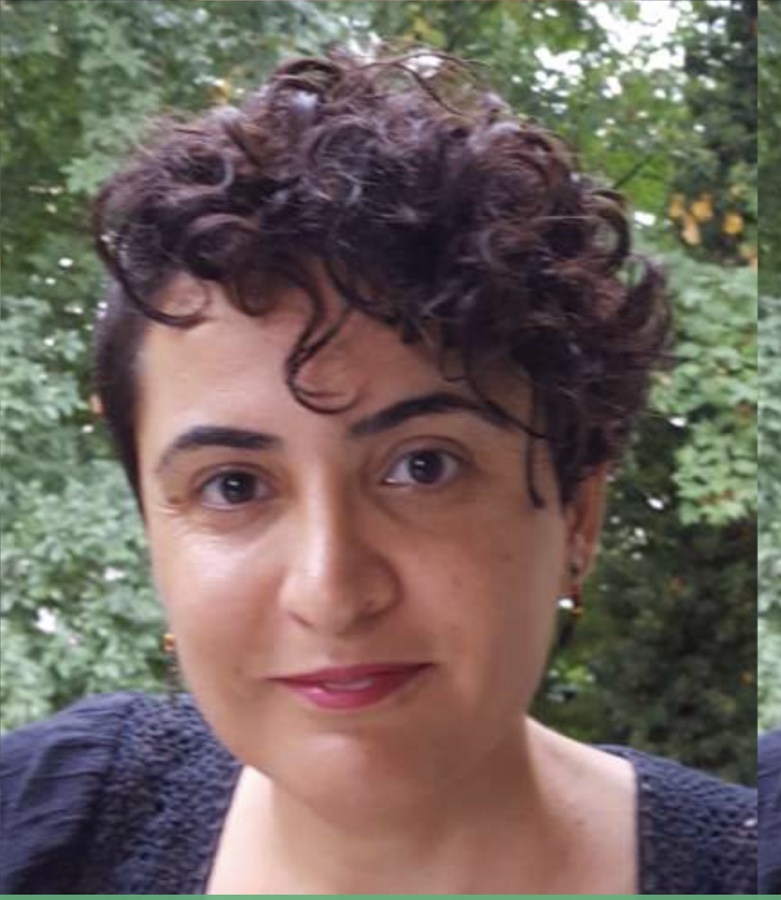 Meral Y. Bilgin